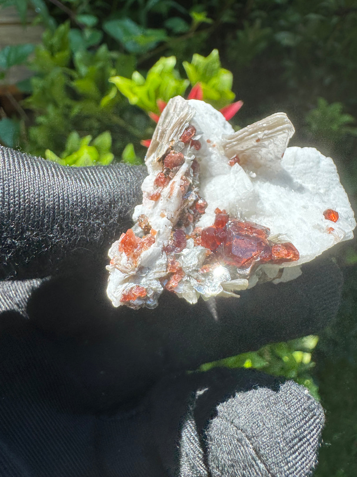 Garnet on Star Mica Specimen - 28g