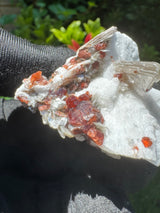 Garnet on Star Mica Specimen - 28g