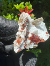 Garnet on Star Mica Specimen - 28g