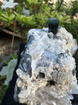 Blue Cap Tourmaline Specimen - 341g
