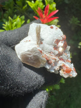 Garnet on Star Mica Specimen - 28g