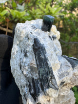 Blue Cap Tourmaline Specimen - 341g