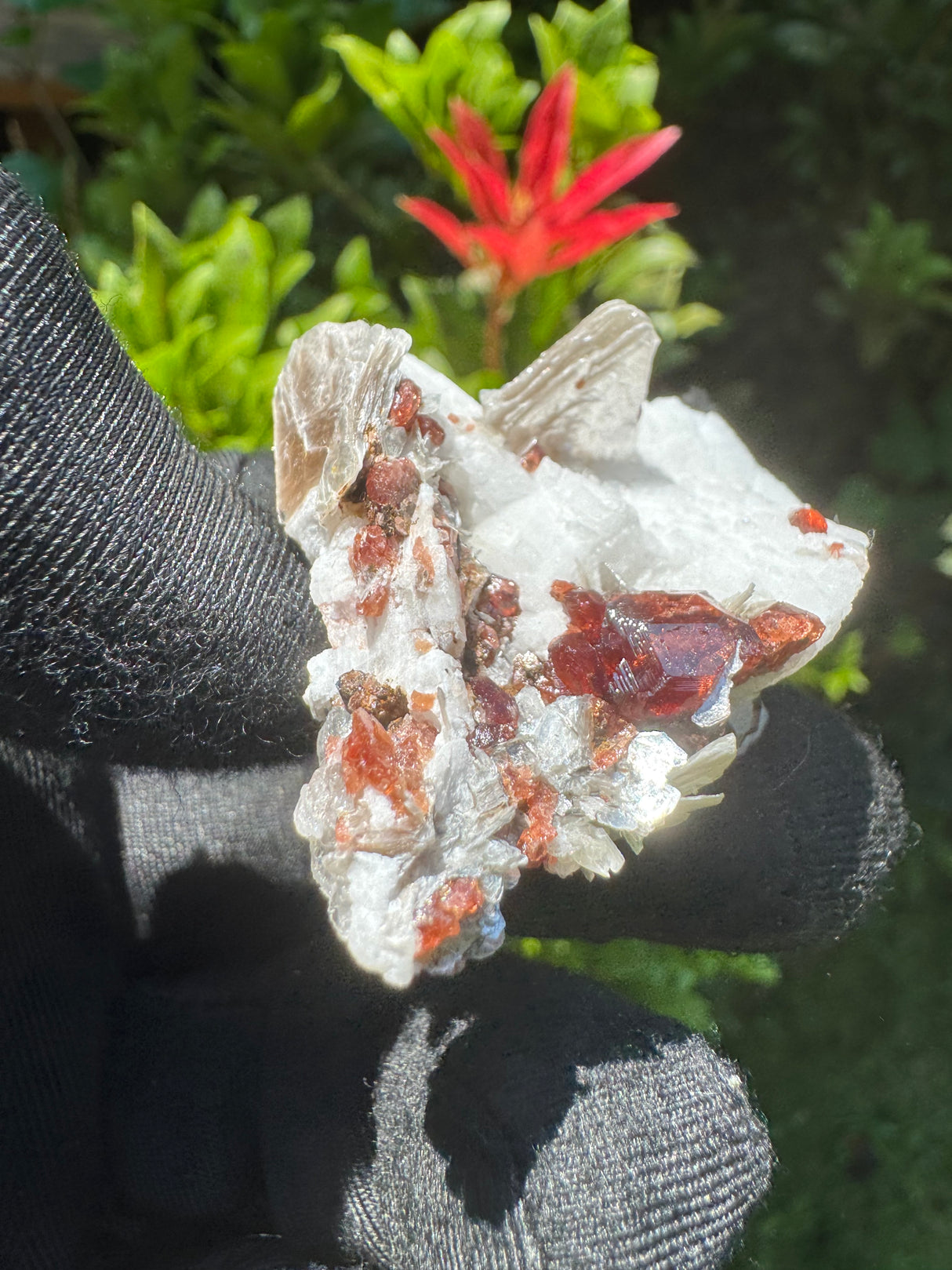Garnet on Star Mica Specimen - 28g