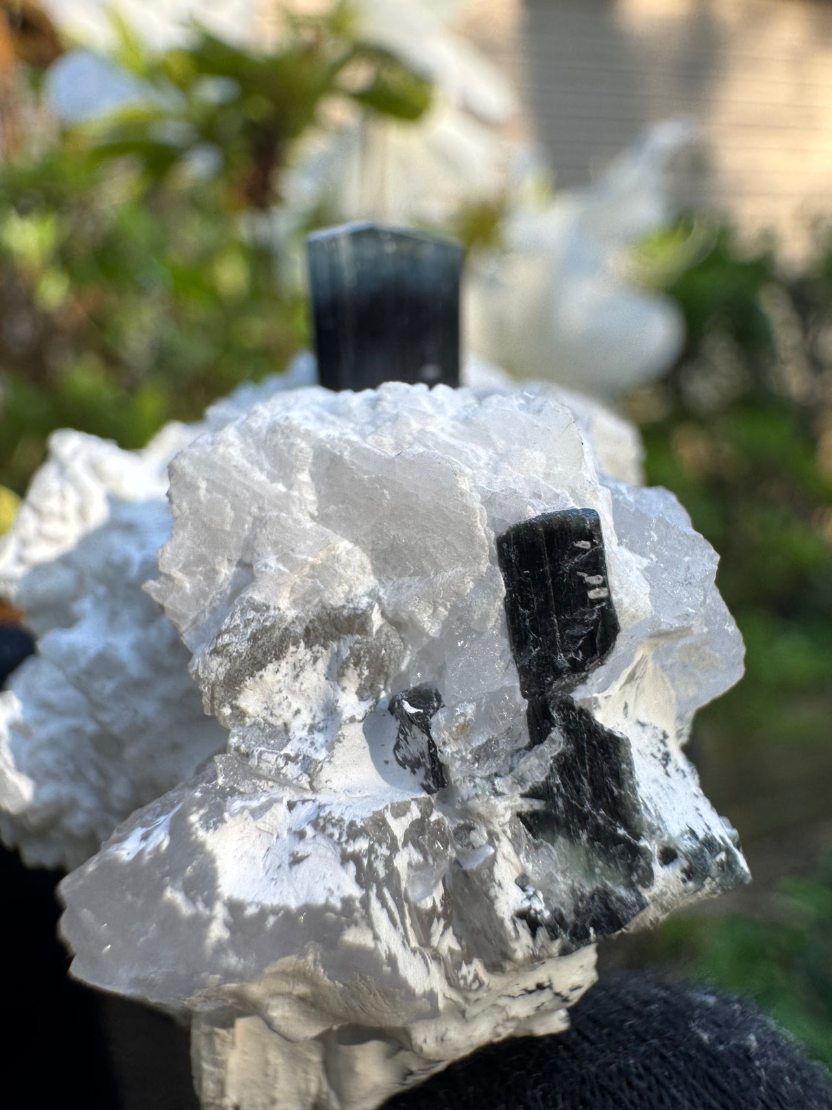 Blue Cap Tourmaline - 43g