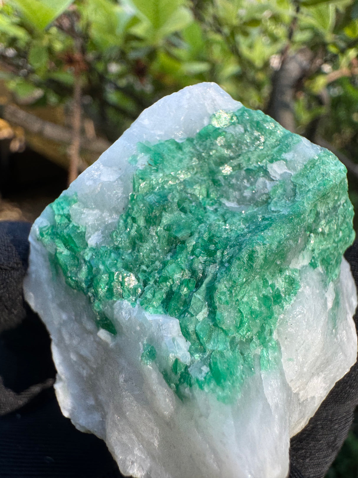 Emerald Specimen - 76g