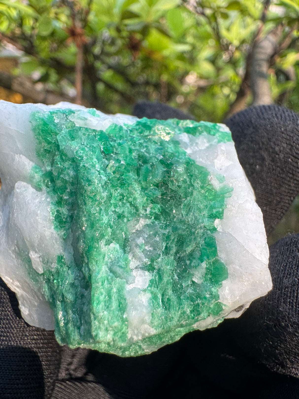 Emerald Specimen - 76g