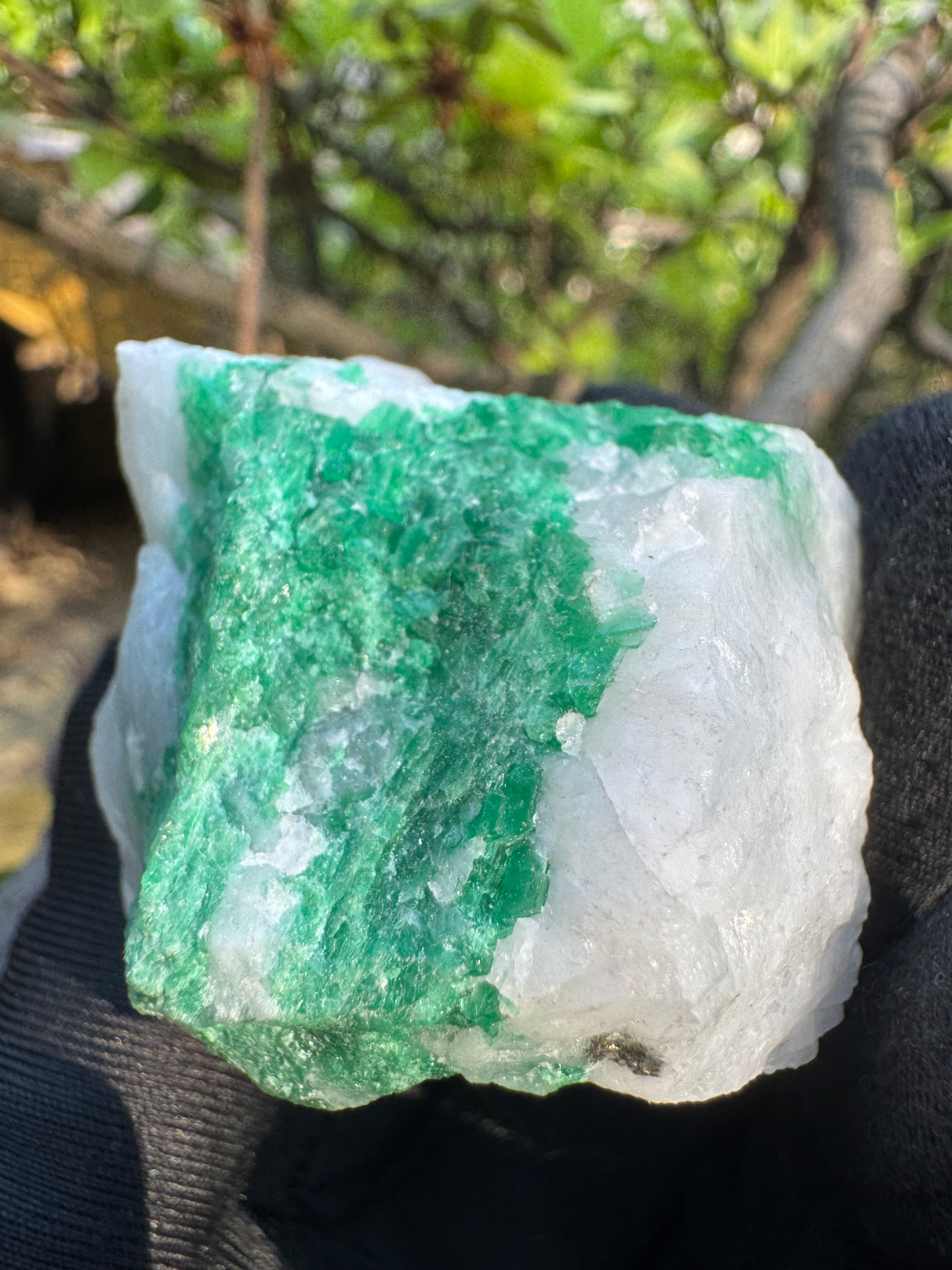 Emerald Specimen - 76g