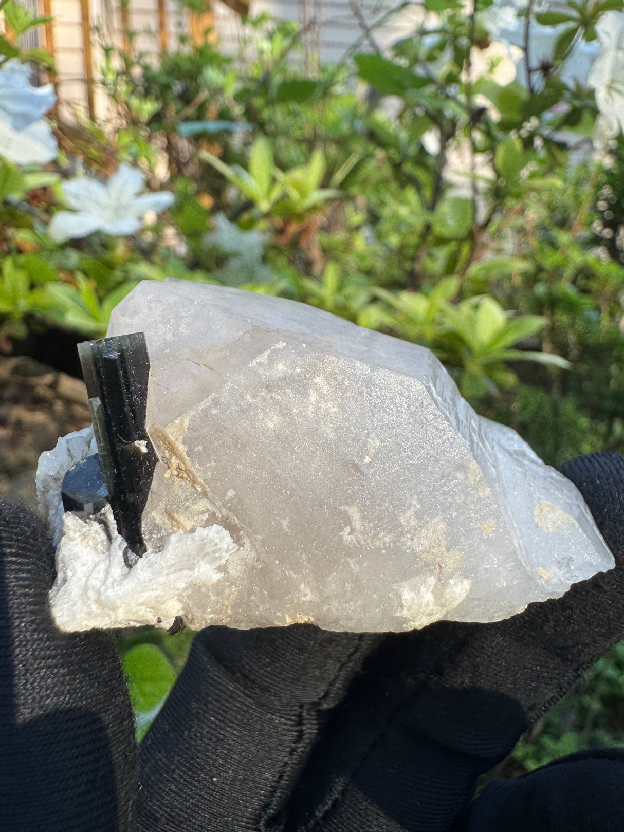 Blue Cap Tourmaline - 81g