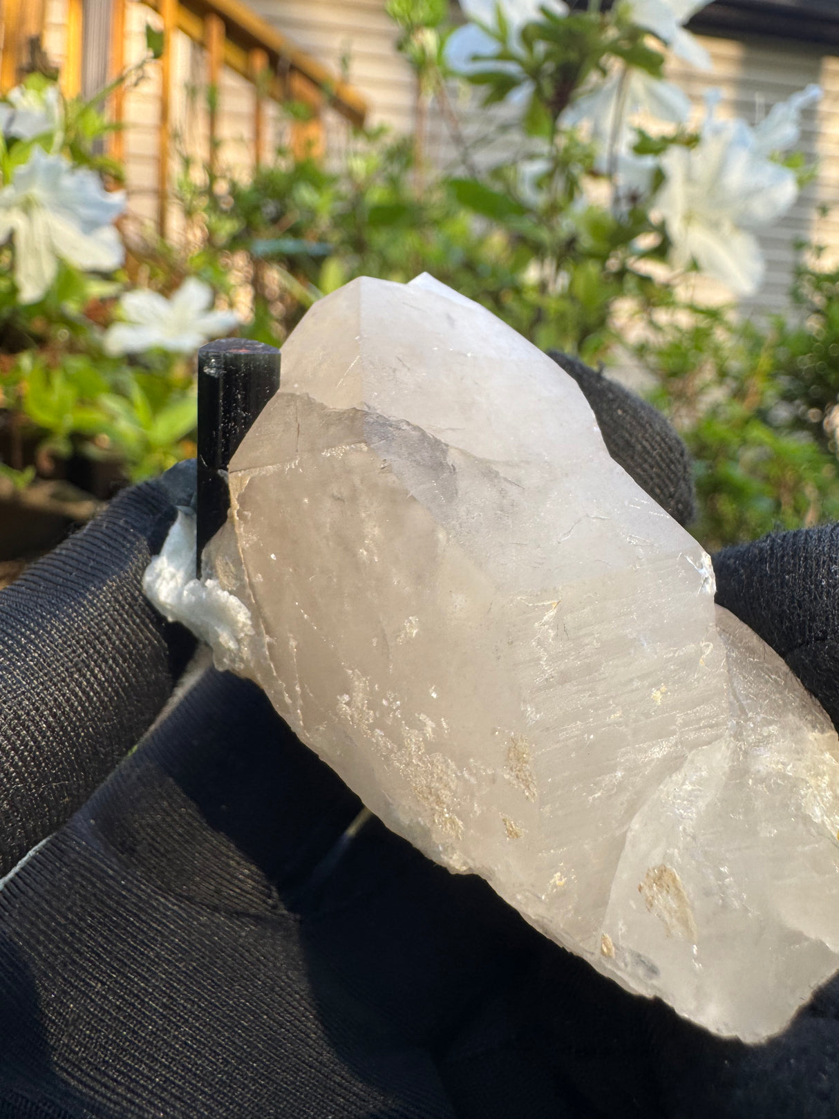 Blue Cap Tourmaline - 81g