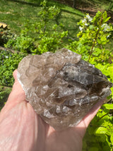 Smoky Quartz Specimen - 532g