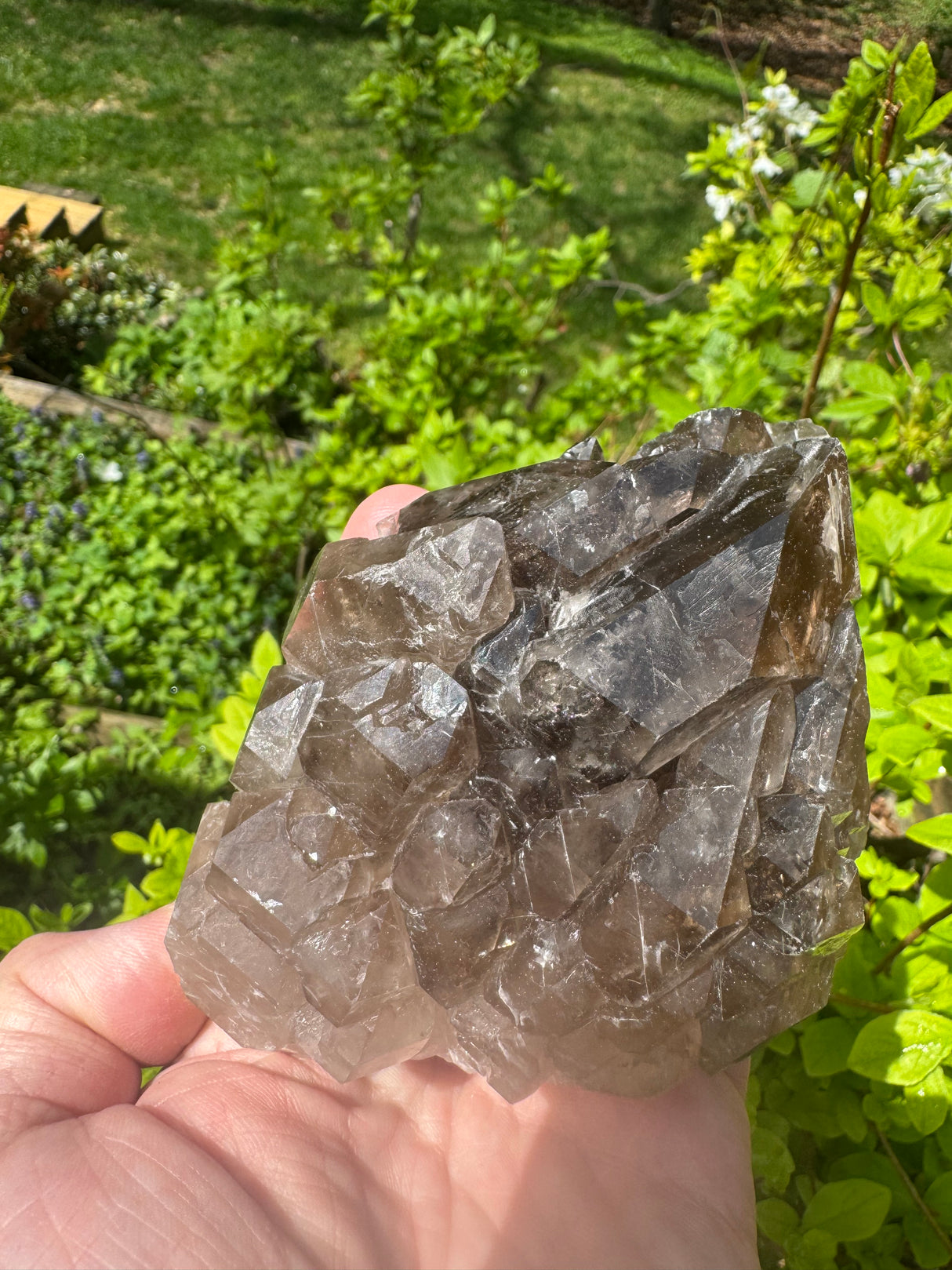 Smoky Quartz Specimen - 532g