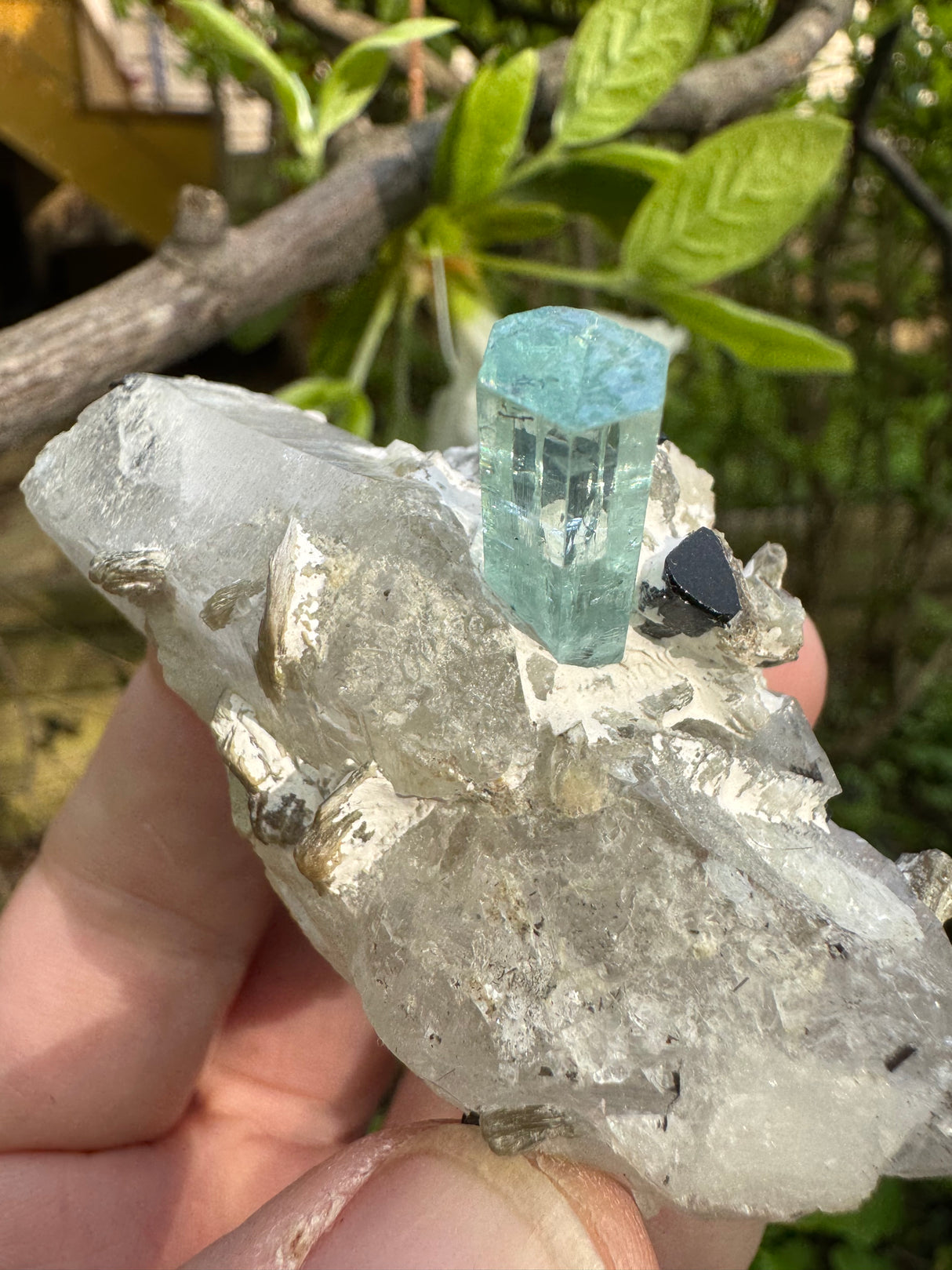 Aquamarine Specimen  - 89g