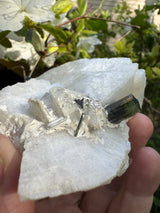 Green Cap Tourmaline Specimen - 237g
