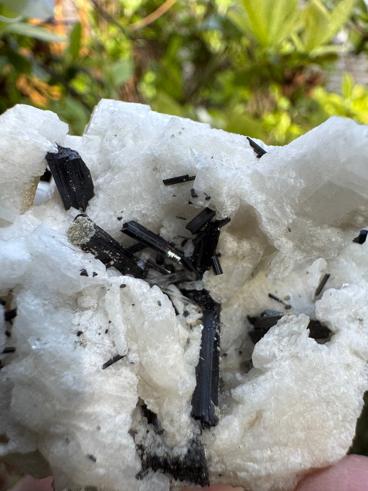 Aquamarine Specimen - 107g