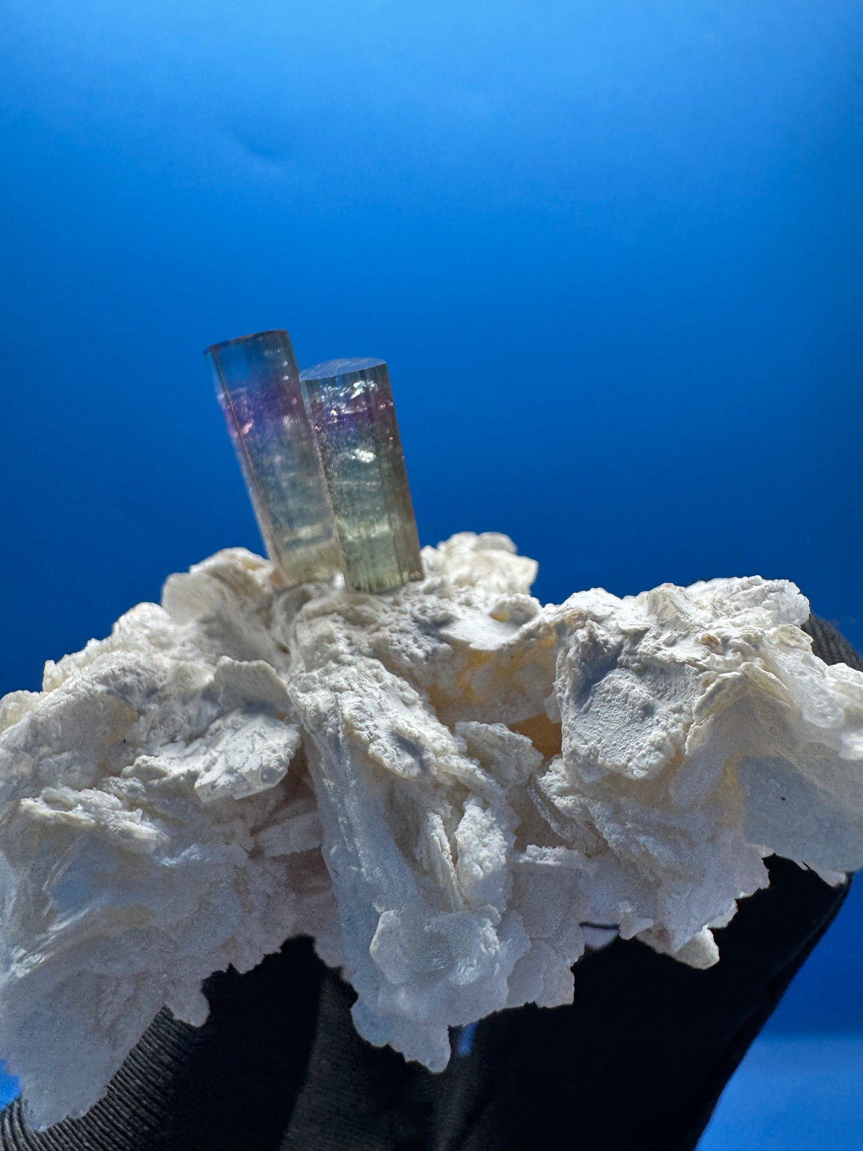 Bi-Color Specimen - 51g