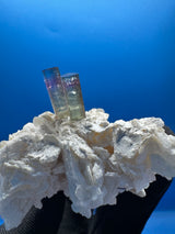 Bi-Color Specimen - 51g