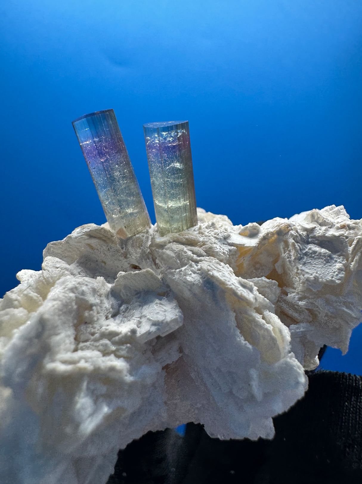 Bi-Color Specimen - 51g