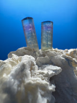 Bi-Color Specimen - 51g