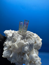 Bi-Color Specimen - 51g