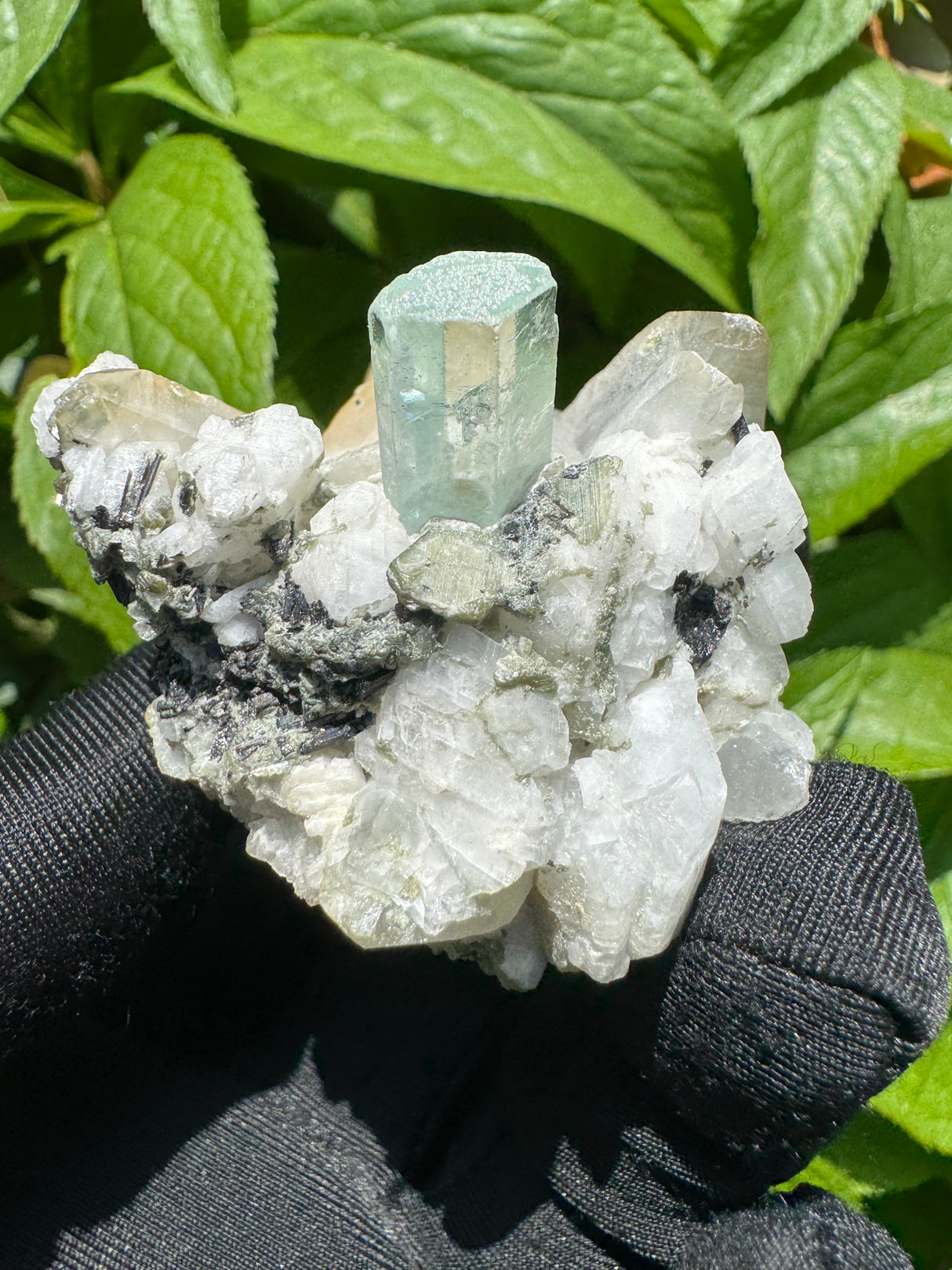 Aquamarine Specimen - 81g