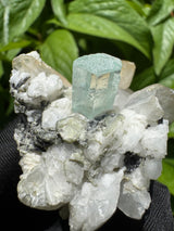 Aquamarine Specimen - 81g