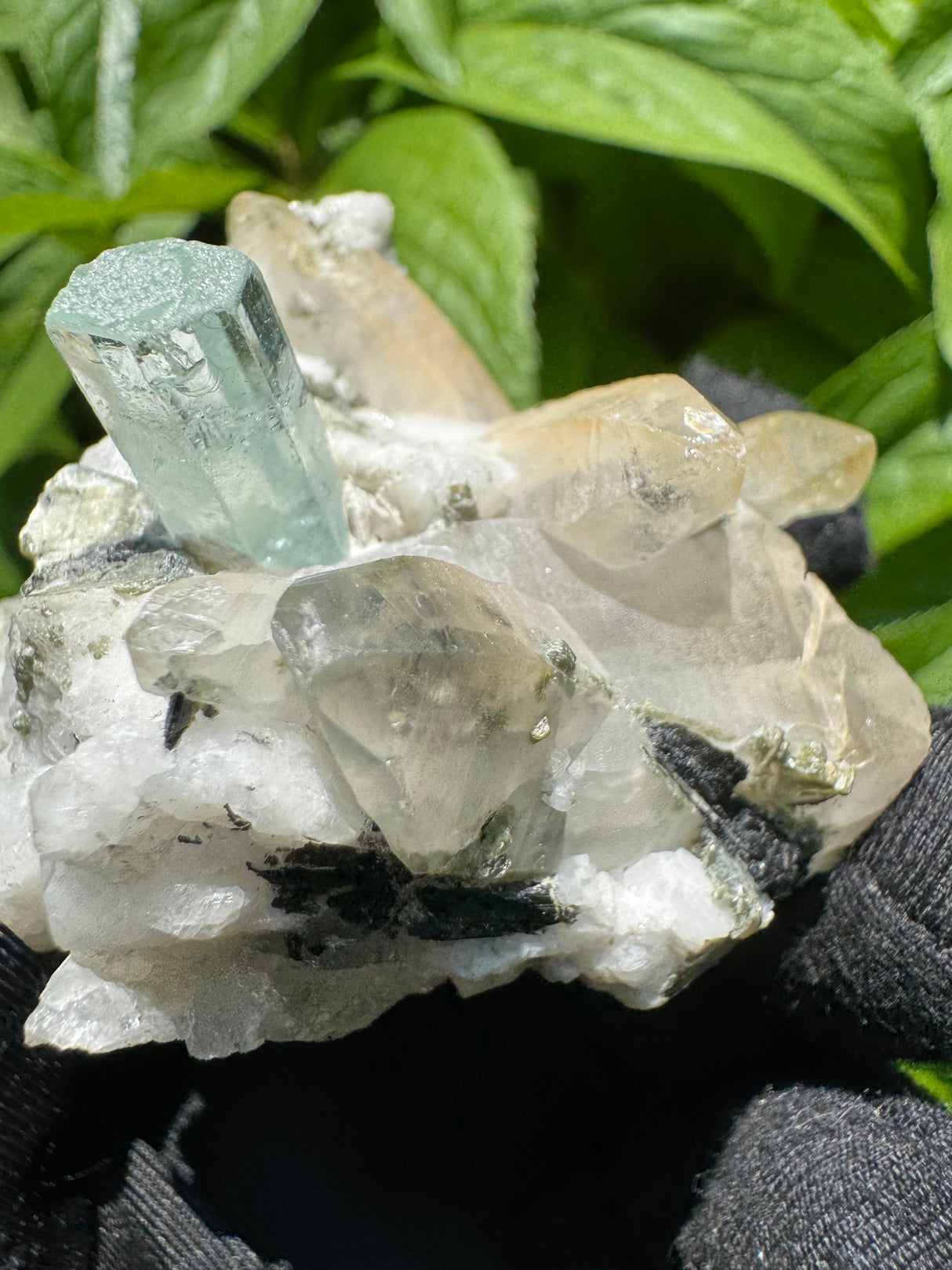 Aquamarine Specimen - 81g