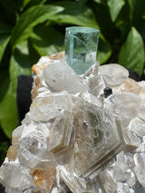 Aquamarine Specimen - 170g