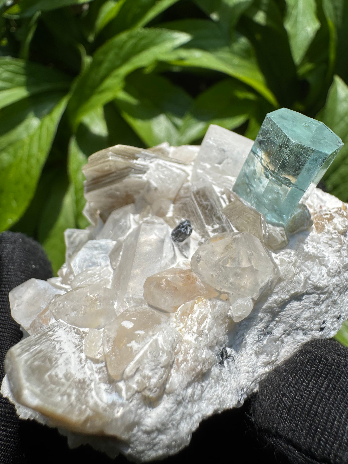 Aquamarine Specimen - 170g