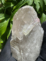 Tourmaline Specimen  - 527g