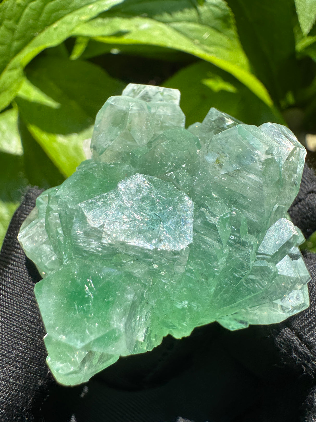 Green Apophyllite - 57g
