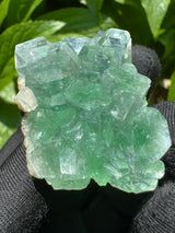 Green Apophyllite - 57g