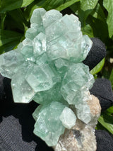 Green Apophyllite - 112g