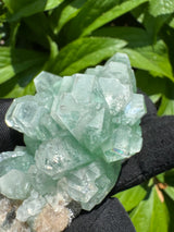 Green Apophyllite - 112g