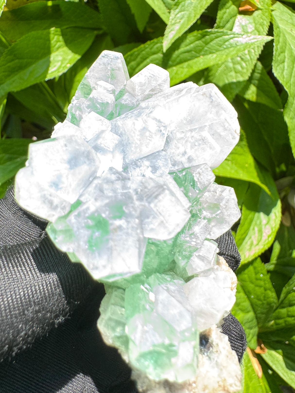 Green Apophyllite - 112g