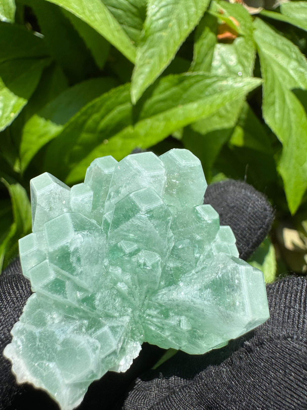 Green Apophyllite - 42g