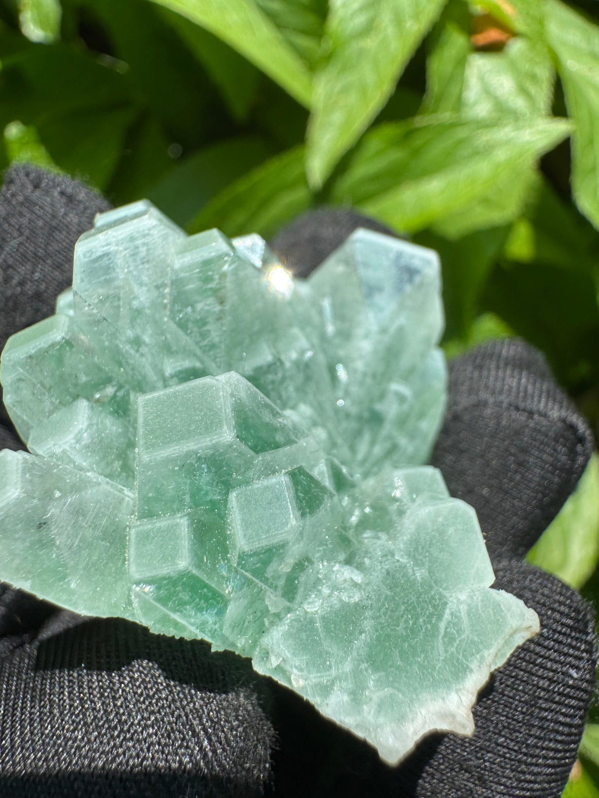 Green Apophyllite - 42g