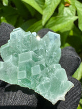 Green Apophyllite - 42g