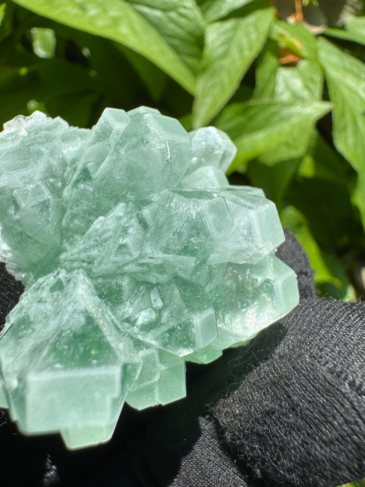 Green Apophyllite - 42g