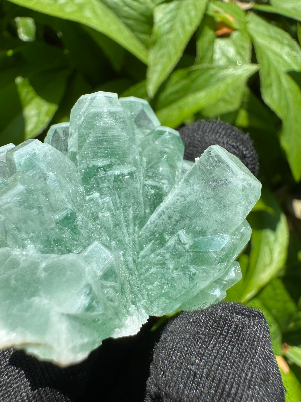 Green Apophyllite - 42g