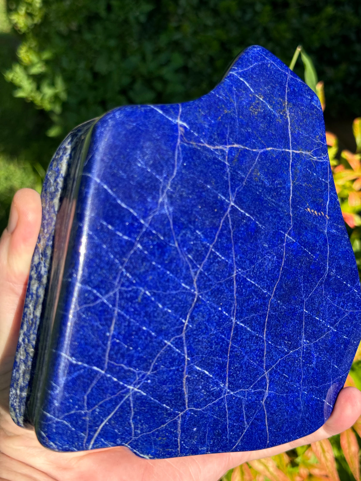 Lapis Specimen - 2.88lb