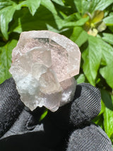Morganite Specimen - 28g