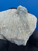 Aquamarine Specimen - 42g