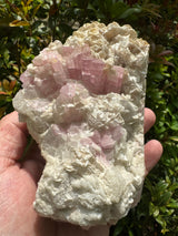Pink Tourmaline Speicmen - 1027g