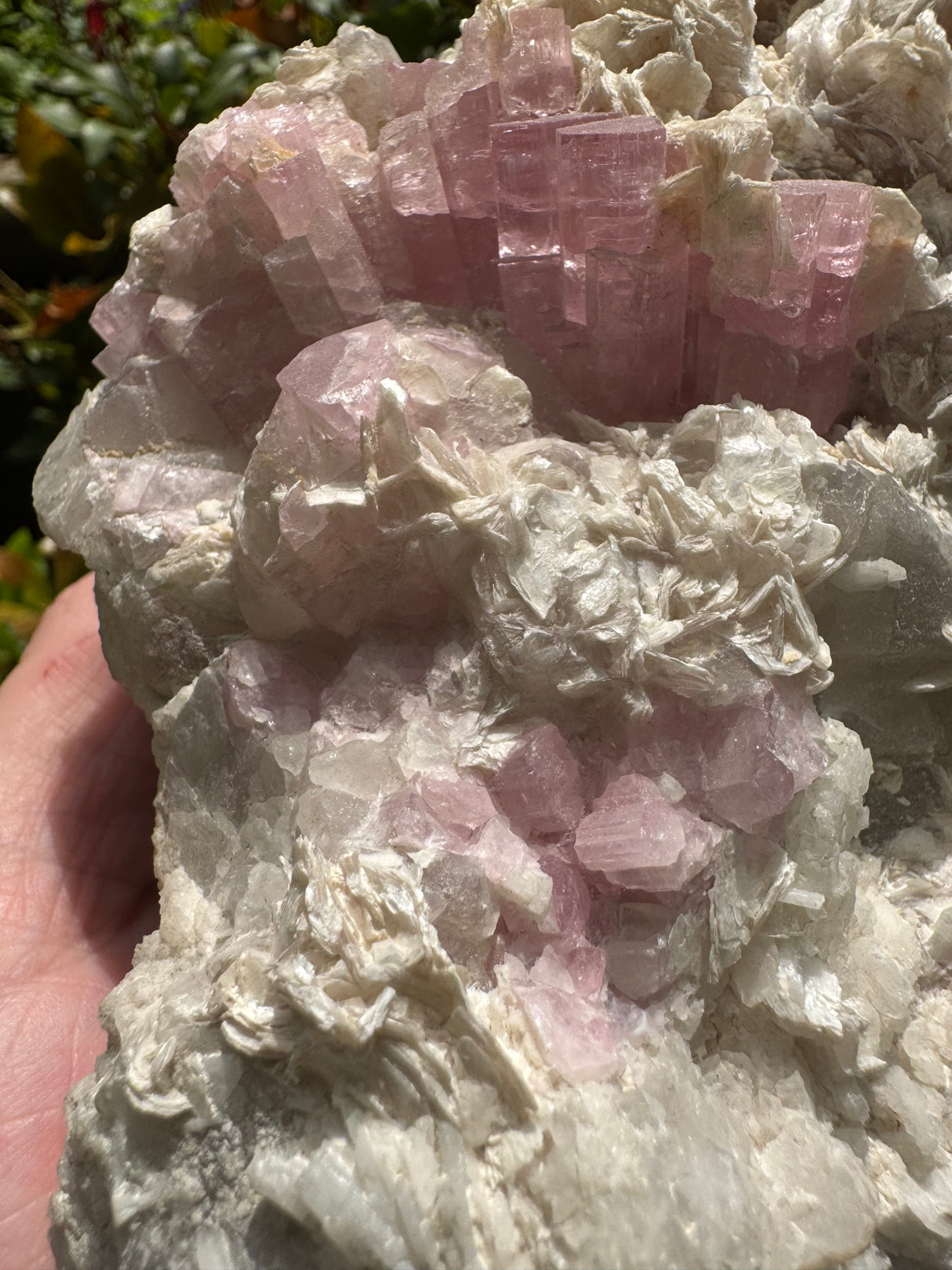 Pink Tourmaline Speicmen - 1027g