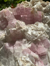 Pink Tourmaline Speicmen - 1027g