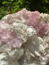 Pink Tourmaline Speicmen - 1027g