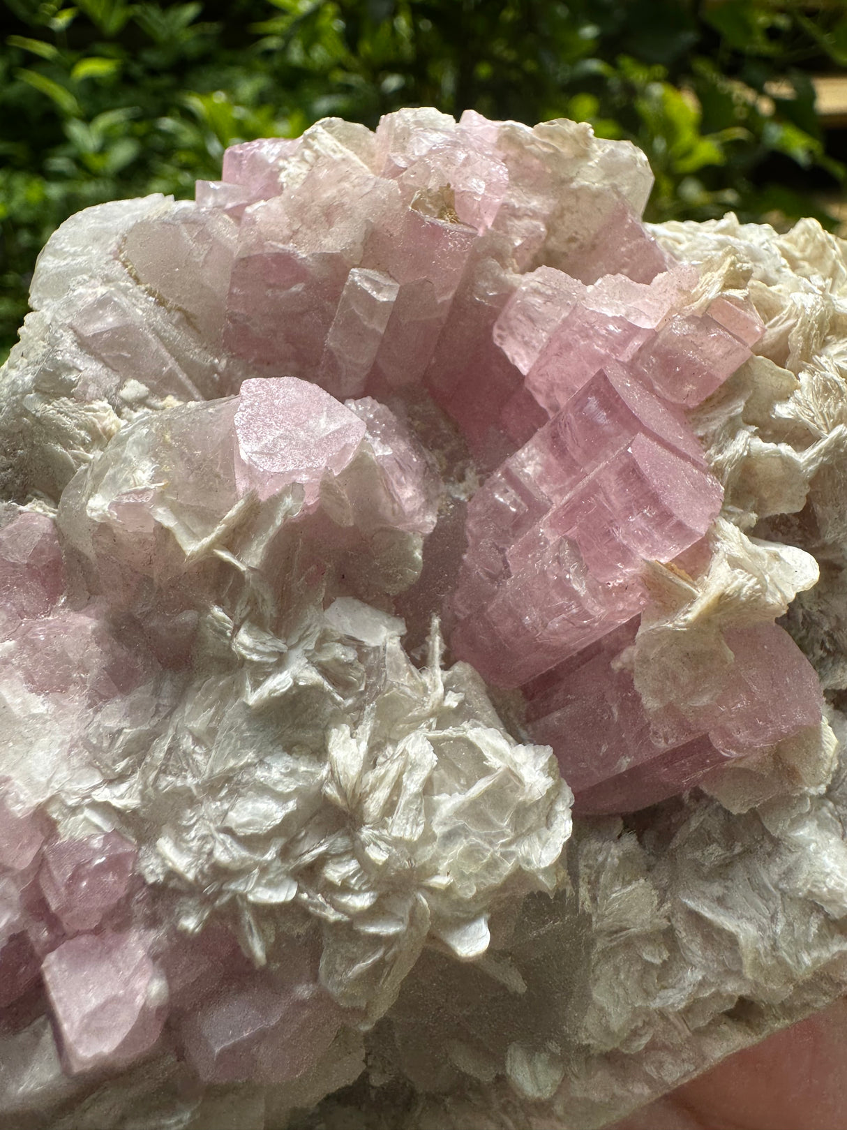 Pink Tourmaline Speicmen - 1027g