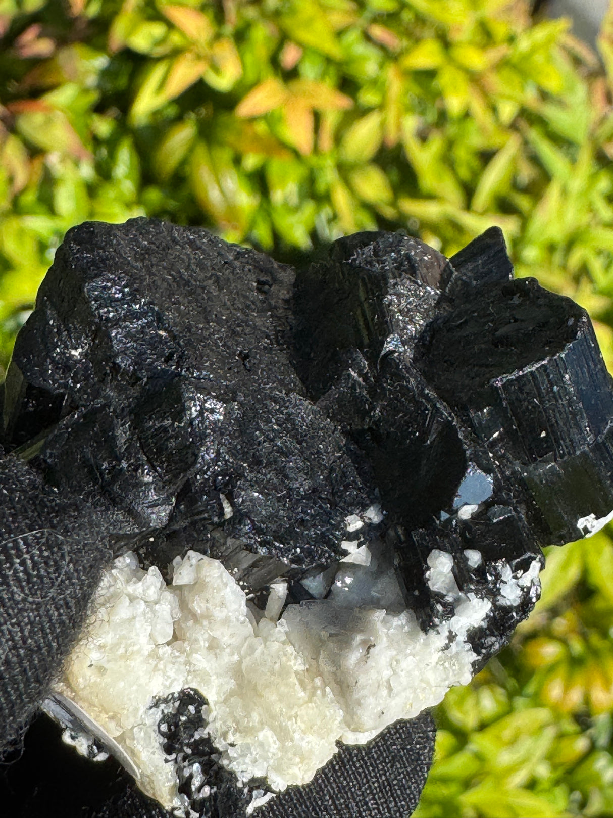 Black Tourmaline Specimen - 81g
