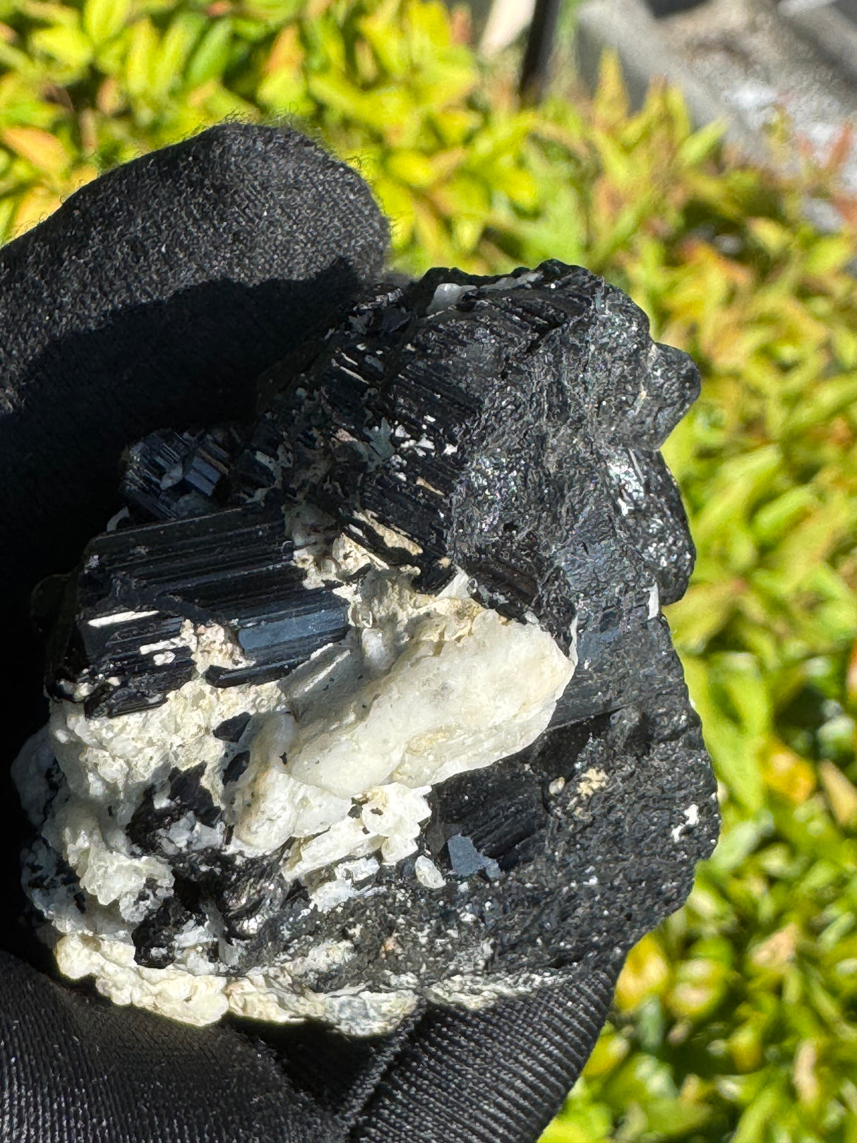 Black Tourmaline Specimen - 81g