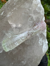 Tourmaline on Quartz Specimen - 528g
